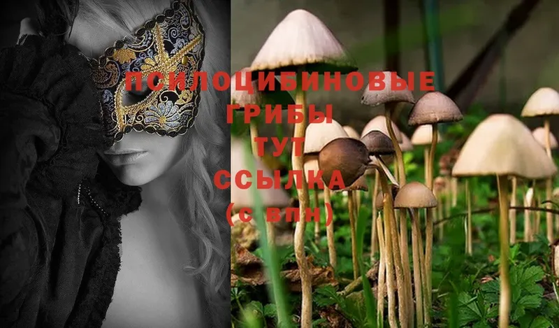 Галлюциногенные грибы MAGIC MUSHROOMS  Карасук 